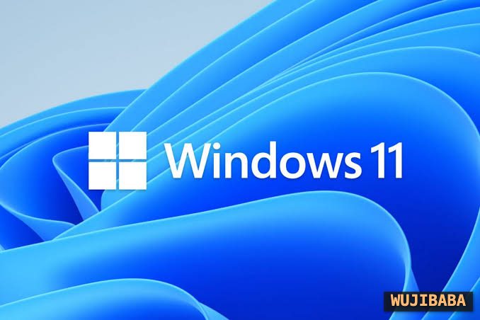 Windows 11 Installation