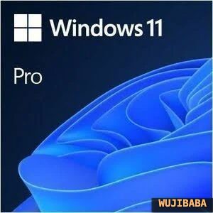 Windows Activation 10 / 11